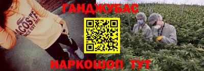 стафф Новокубанск
