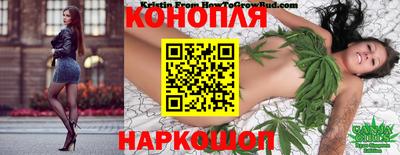 стафф Новокубанск
