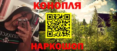 трава Новозыбков