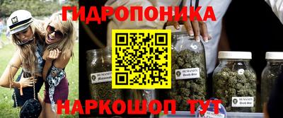 стафф Новокубанск
