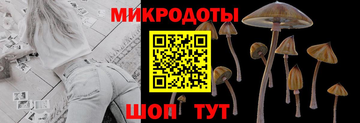 Белогорск  Псилоцибиновые грибы прущие грибы  Вход с VPN  Галлюциногенные грибы мухоморы 